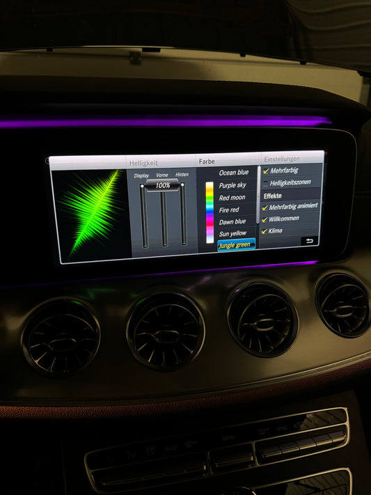 W213 E-Klasse – Factory Reset Chaos behoben 🚗🔧